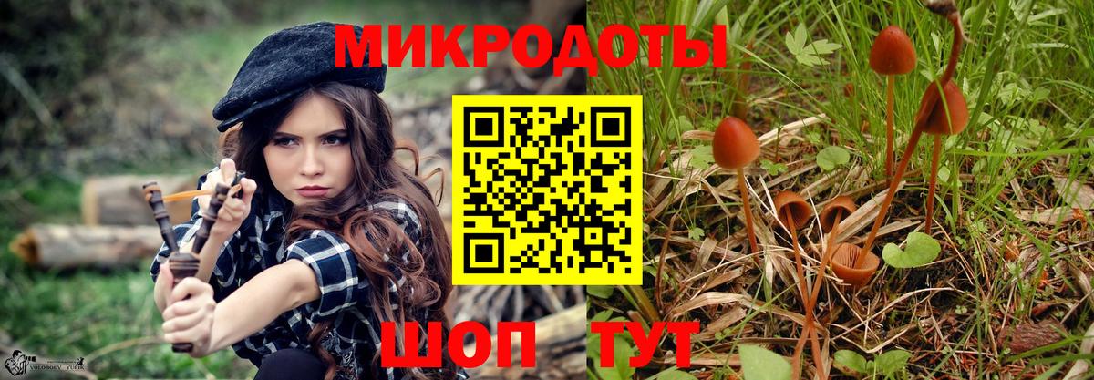 Галлюциногенные грибы прущие грибы Мценск