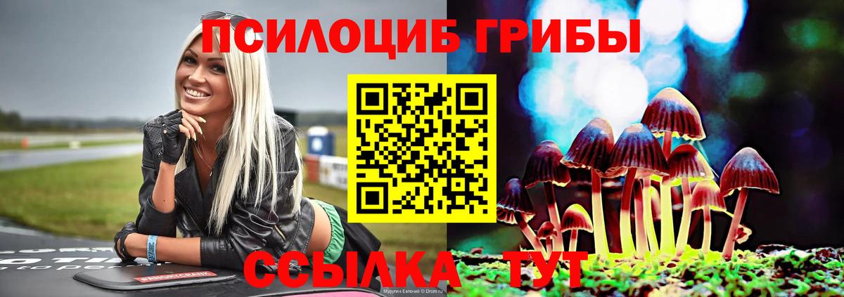 Псилоцибиновые грибы ЛСД  Вход с VPN  Псилоцибиновые грибы Cubensis  купить наркотик  Мценск 